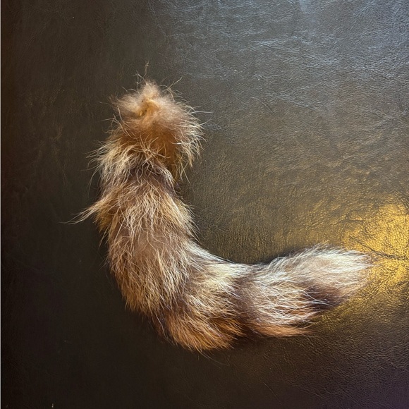 Real Raccoon Fur Tail Accessory - Picture 2 of 3